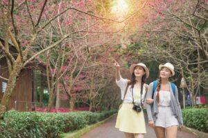 BolehMiles - Travel Insurance